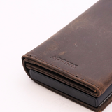 Horse Brown : Aether Aurora