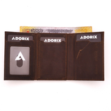 Horse Brown : Aether Aurora