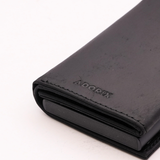 Horse Black : Aether Aurora